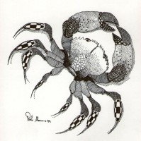 /album/optical/optical-cancro-1982-jpg/